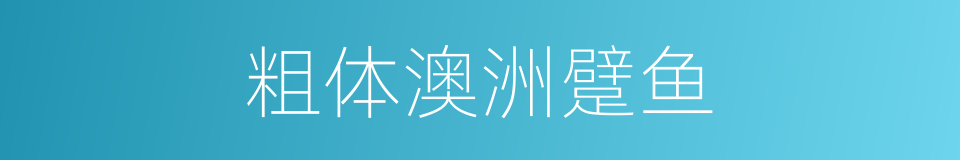 粗体澳洲躄鱼的同义词