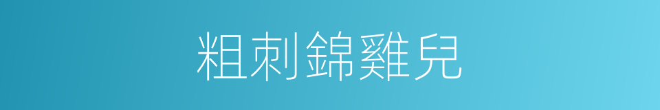 粗刺錦雞兒的同義詞