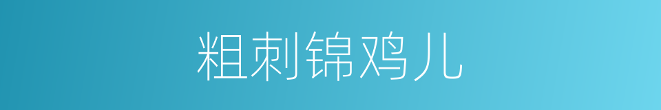 粗刺锦鸡儿的同义词
