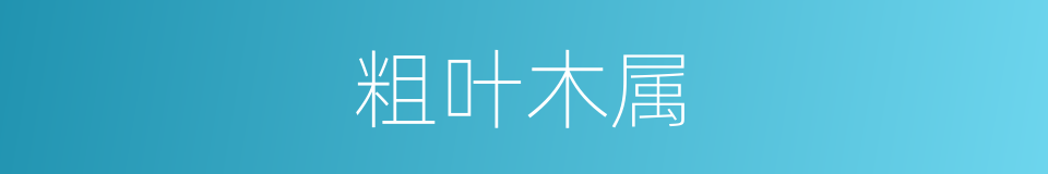 粗叶木属的同义词