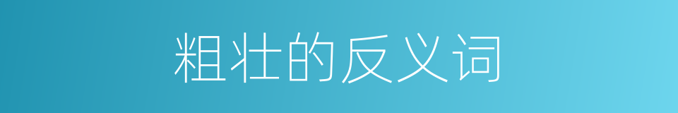 粗壮的反义词的同义词