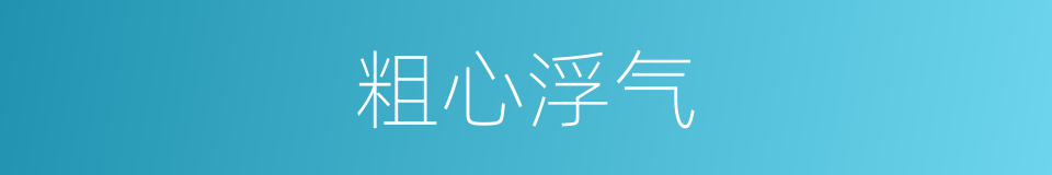 粗心浮气的意思