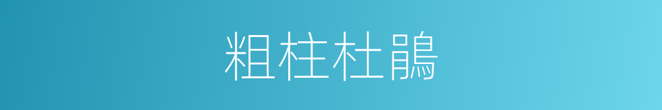 粗柱杜鵑的同義詞