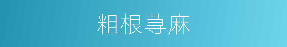 粗根荨麻的同义词