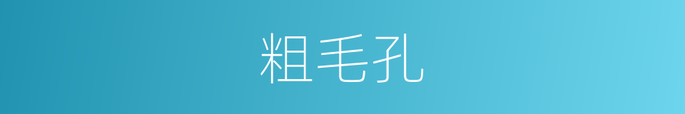 粗毛孔的同义词