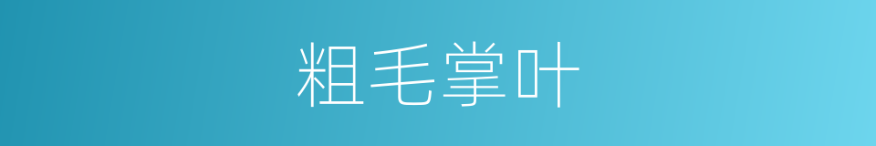 粗毛掌叶的同义词