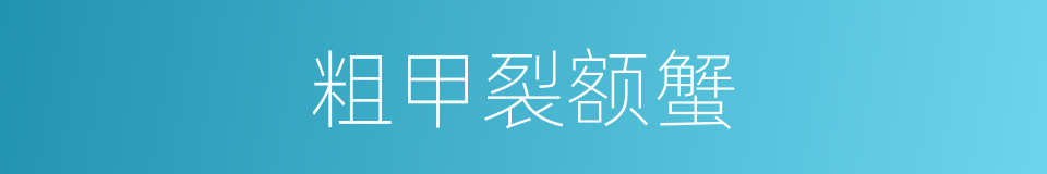粗甲裂额蟹的同义词