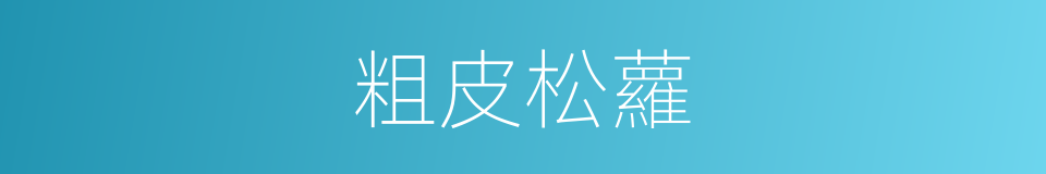 粗皮松蘿的同義詞