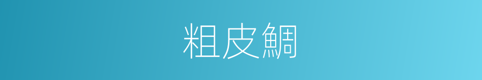 粗皮鯛的同義詞