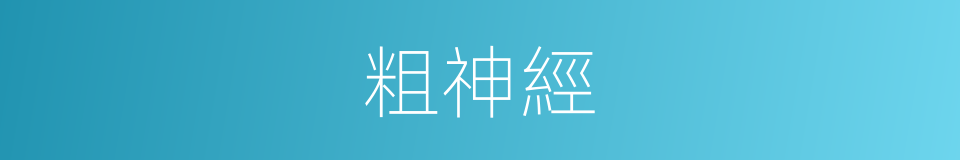 粗神經的同義詞