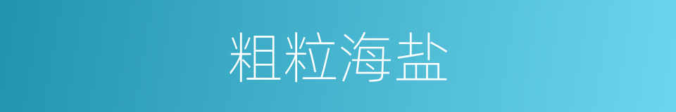 粗粒海盐的同义词