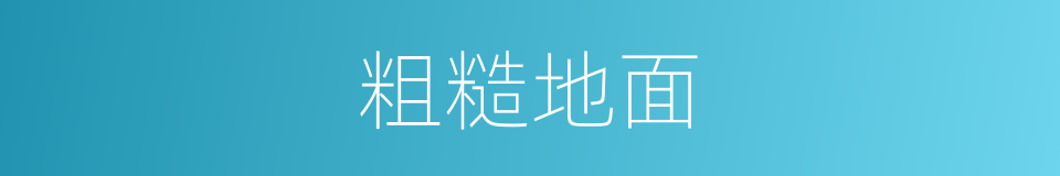 粗糙地面的同义词