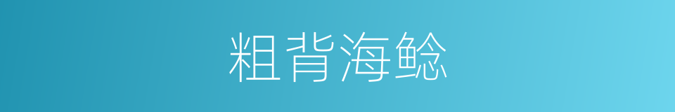 粗背海鲶的同义词