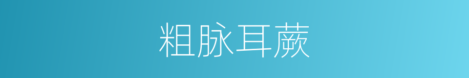 粗脉耳蕨的同义词