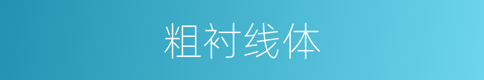 粗衬线体的同义词