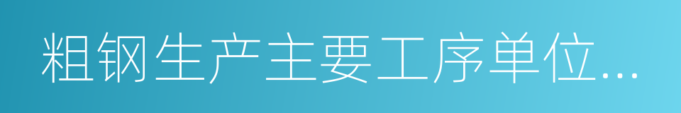 粗钢生产主要工序单位产品能源消耗限额的同义词