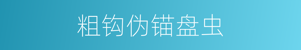 粗钩伪锚盘虫的同义词
