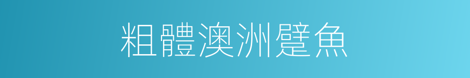 粗體澳洲躄魚的同義詞