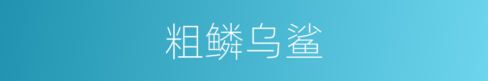 粗鳞乌鲨的同义词
