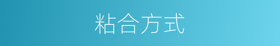 粘合方式的同义词