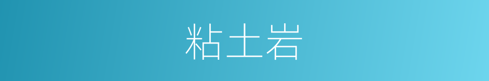 粘土岩的同义词