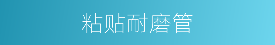 粘贴耐磨管的同义词
