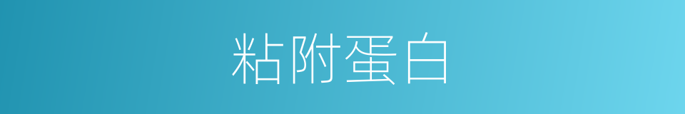 粘附蛋白的同义词