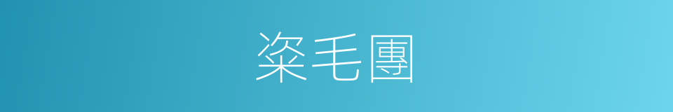粢毛團的同義詞