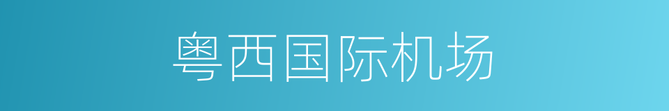 粤西国际机场的同义词