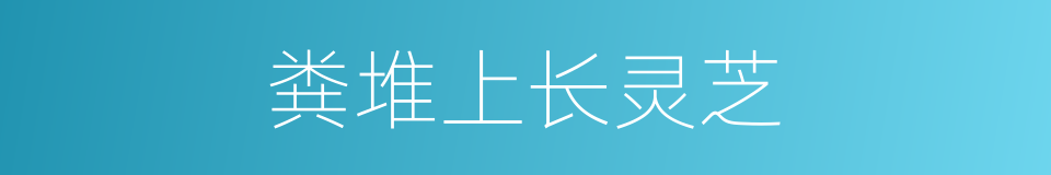 粪堆上长灵芝的意思