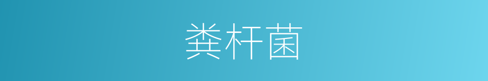 粪杆菌的同义词