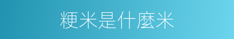 粳米是什麼米的同義詞