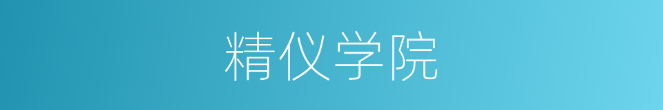 精仪学院的同义词