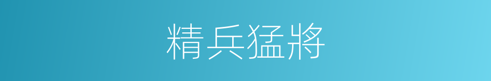 精兵猛將的意思
