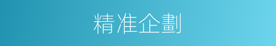 精准企劃的同義詞