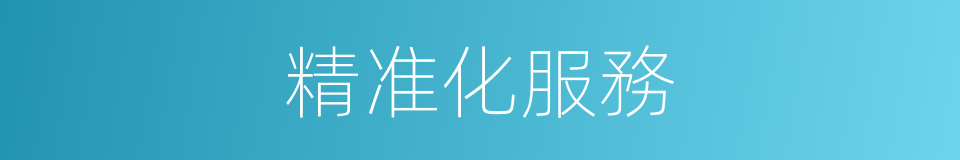 精准化服務的同義詞