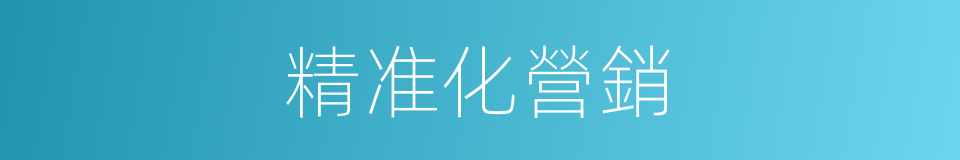 精准化營銷的同義詞