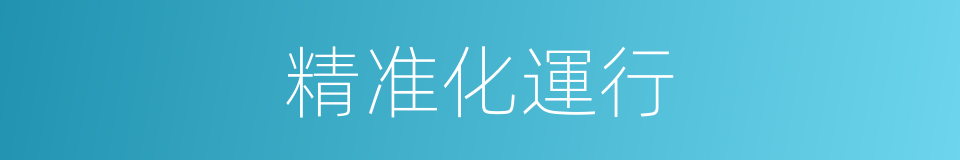 精准化運行的同義詞