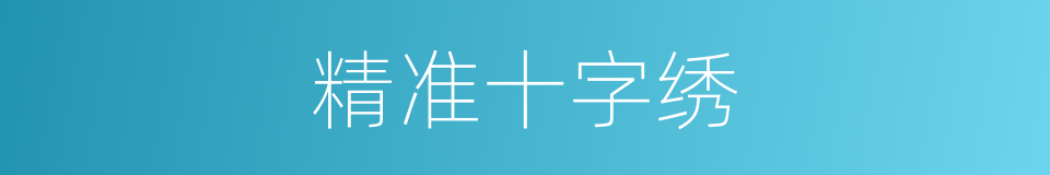 精准十字绣的同义词