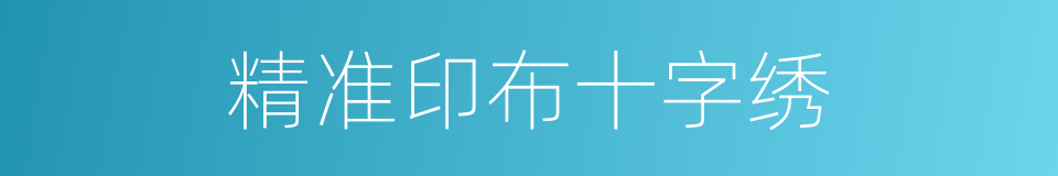 精准印布十字绣的同义词