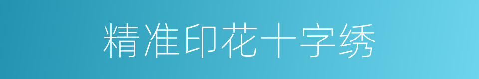 精准印花十字绣的同义词