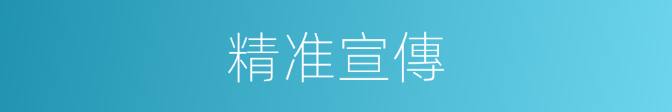 精准宣傳的同義詞