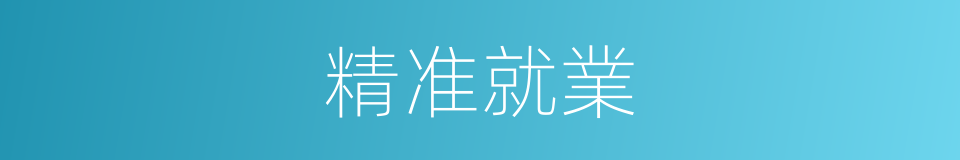 精准就業的同義詞