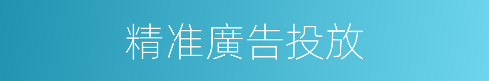 精准廣告投放的同義詞