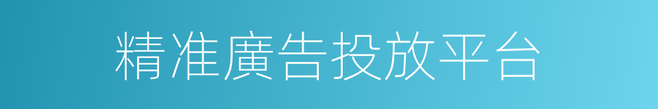 精准廣告投放平台的同義詞