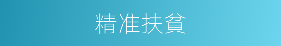 精准扶貧的同義詞