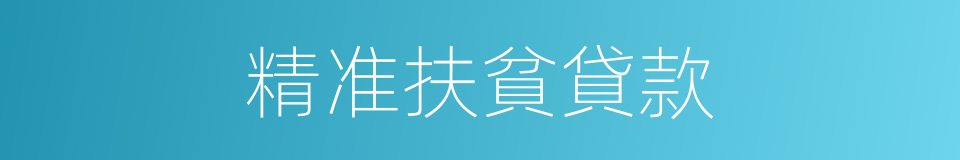 精准扶貧貸款的同義詞