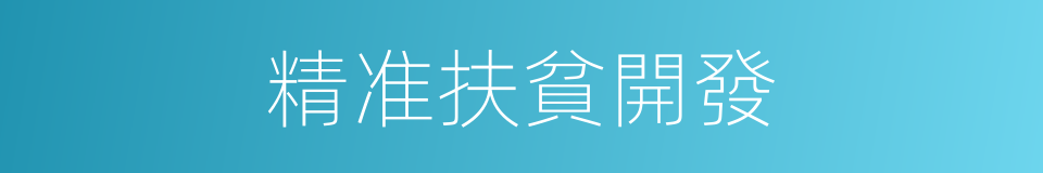 精准扶貧開發的同義詞