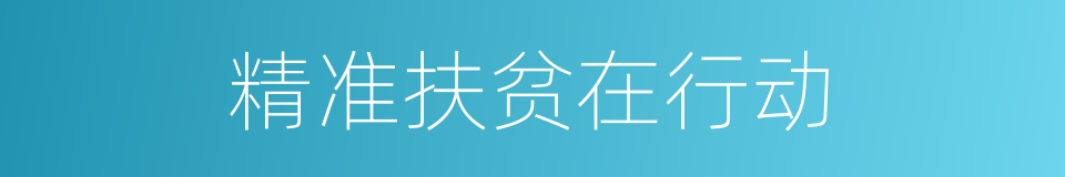 精准扶贫在行动的同义词