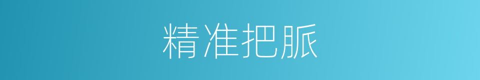 精准把脈的同義詞